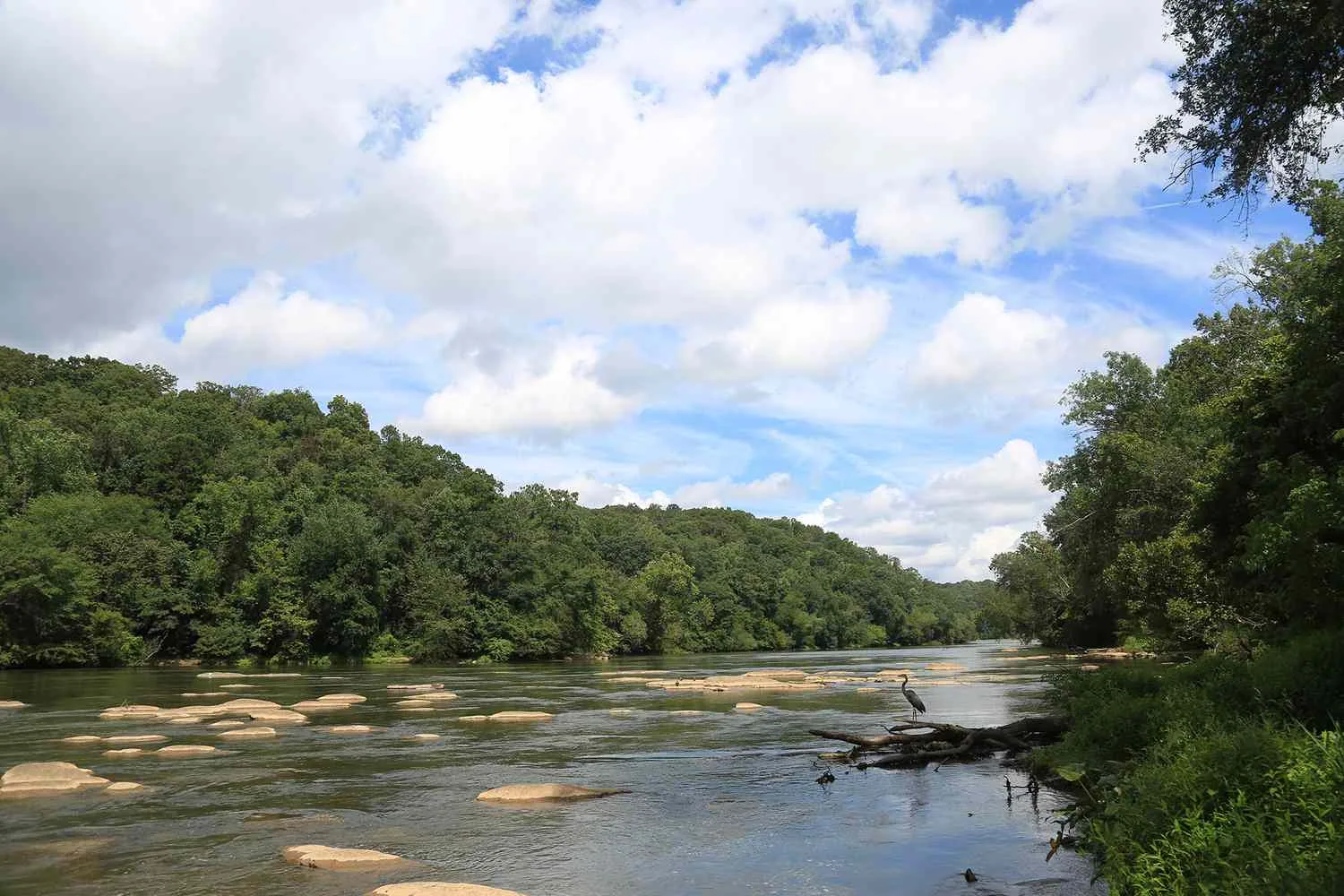 Brookhaven in Sandy Springs, GA
